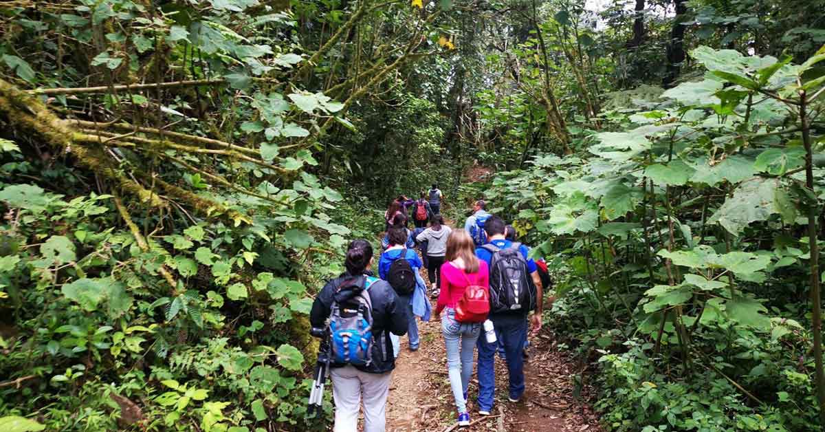 Turismo Costa Rica: Actividades de Senderismo