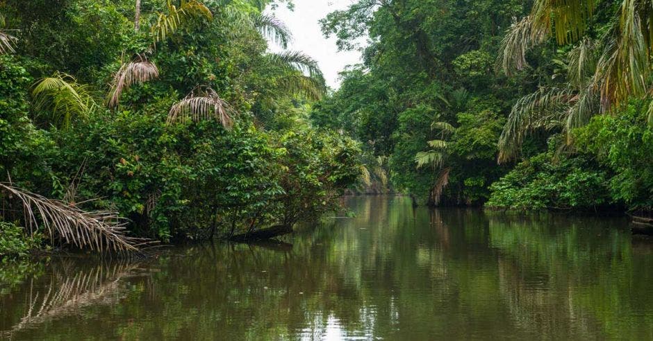 canales de tortuguero