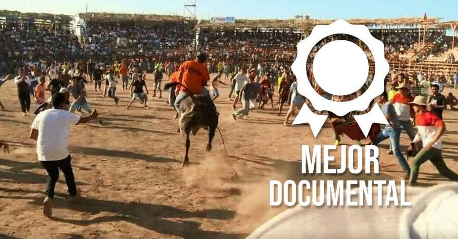 Mejor Documental