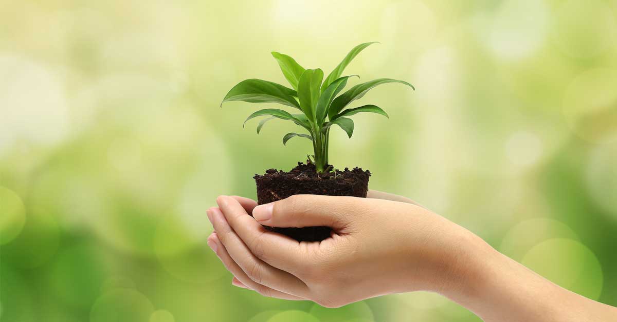 Eco saving. World environment Day. World Environmental Education Day. Ambiente2w. Токсичный фон.