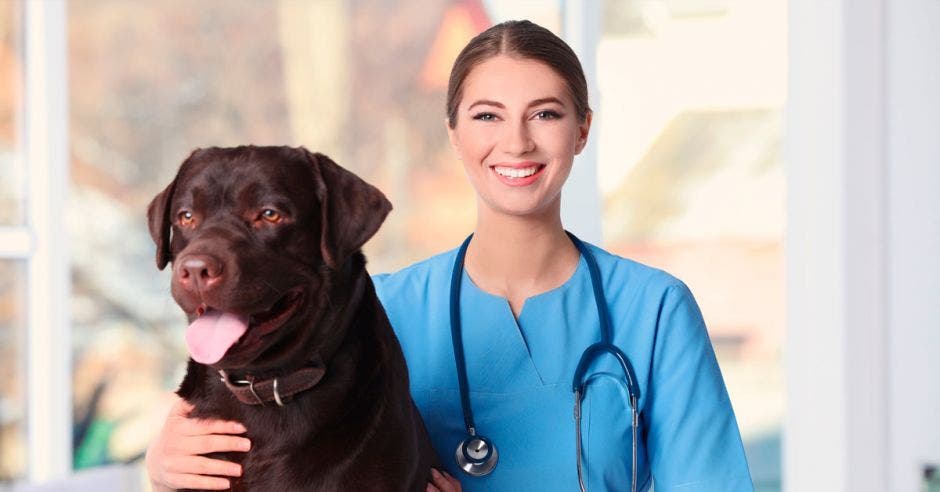 Una mujer con un perro