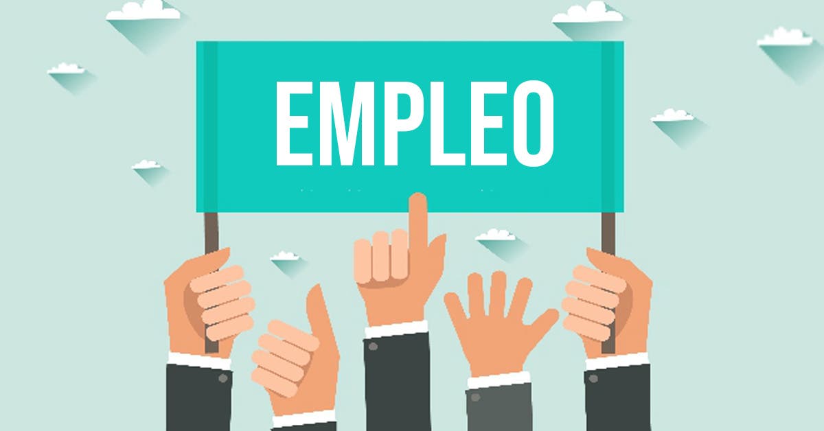 Feria De Empleo Ofrece Puestos En áreas De Administración Y Mantenimiento