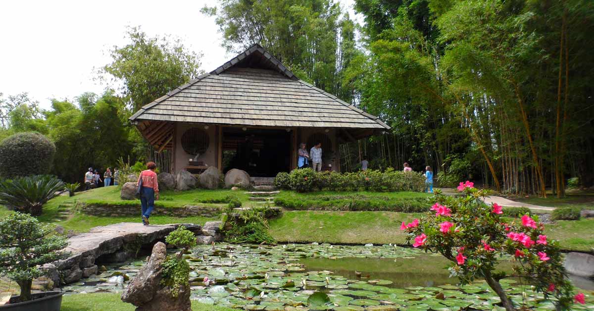 Conozca los cinco mejores jardines botánicos de Costa Rica, según Forbes