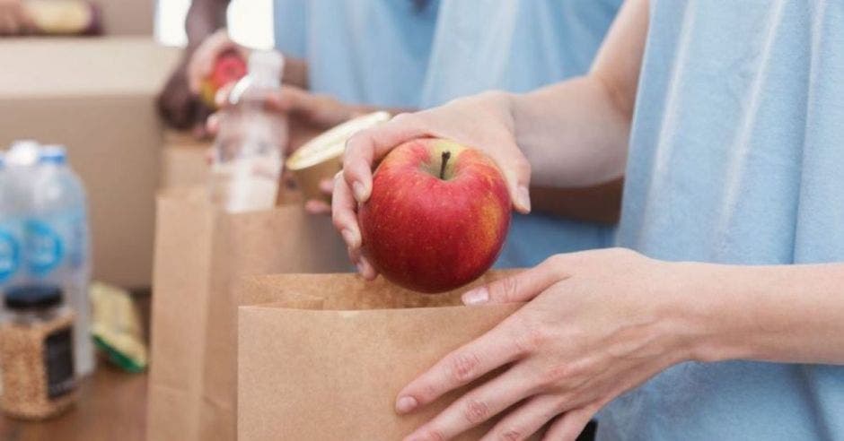 bolsas de cartón con alimentos