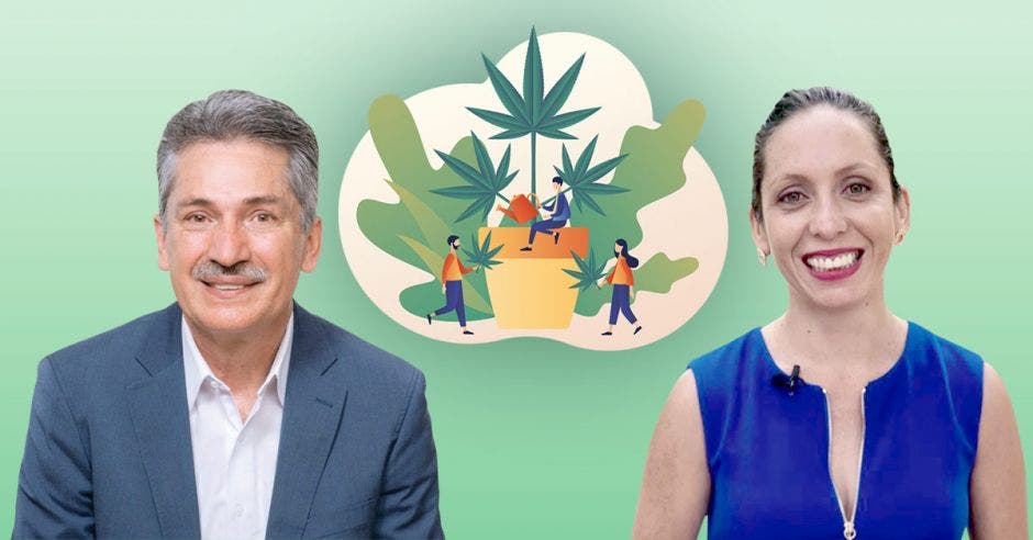 Los aspirantes Welmer Ramos y Carolina Hidalgo del PAC, sí impulsarían la legalización de la marihuana recreativa. En la foto una imagen de hoja de marihuana al fondo y los dos candidatos de frente.