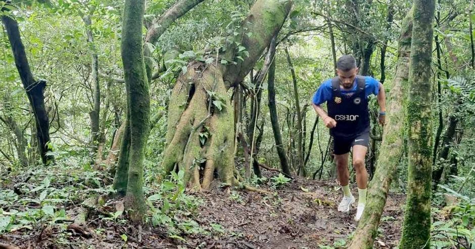 guanacaste bosque