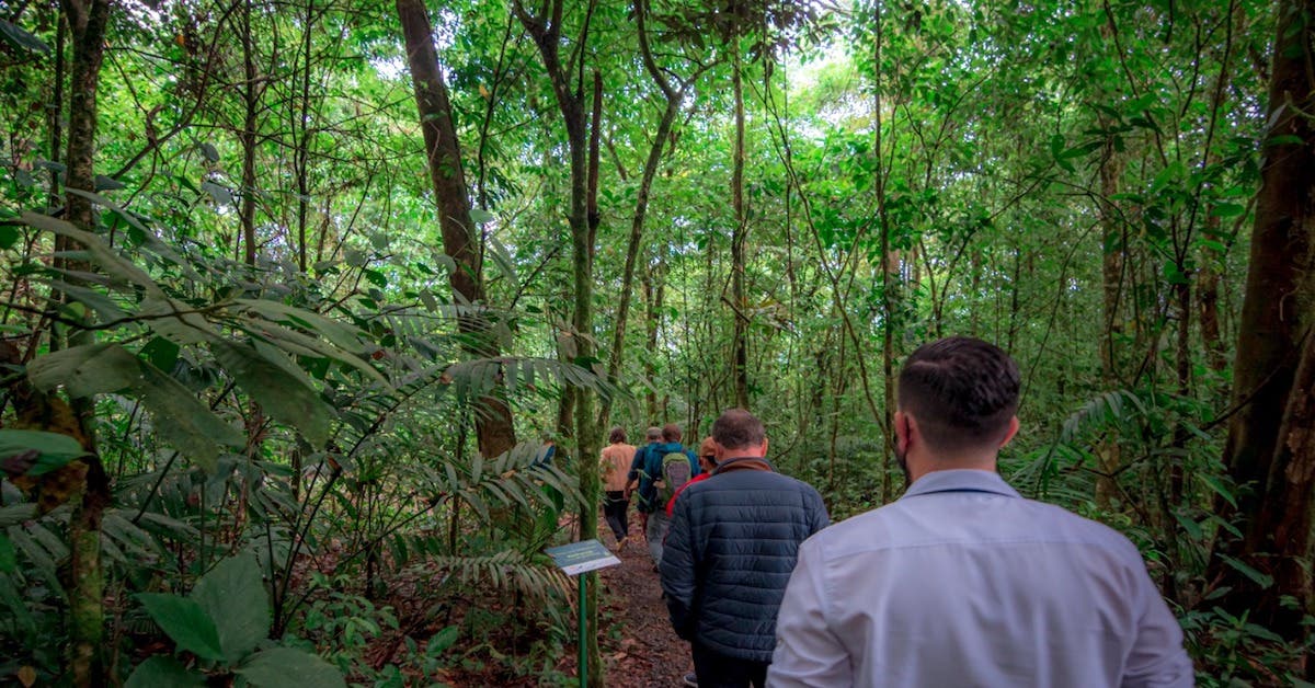 Reserva Bosque la Tigra busca convertirse en vitrina mundial del turismo  sostenible