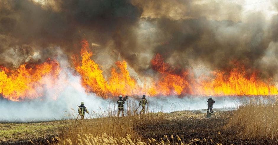 brigada incendios forestales Osa