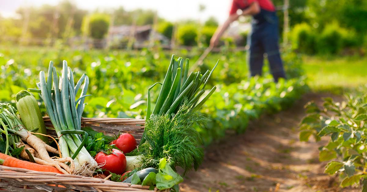 Aprenda Sobre Agricultura Regenerativa A Través De Videotutoriales 2300