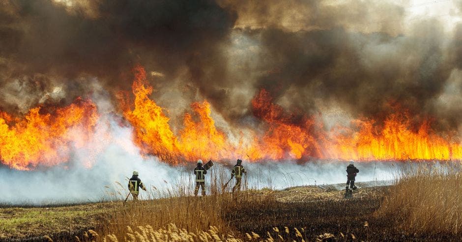 incendios forestales sinac