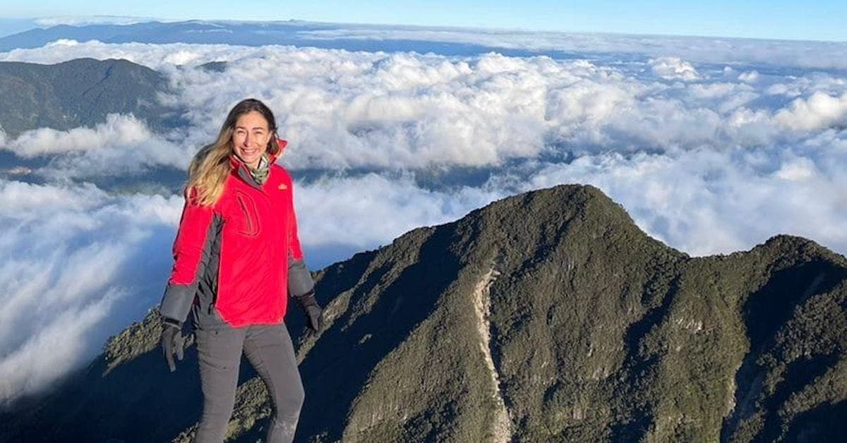 Success Mujer Senderismo Senderismo En El Pico De La Montaña Del