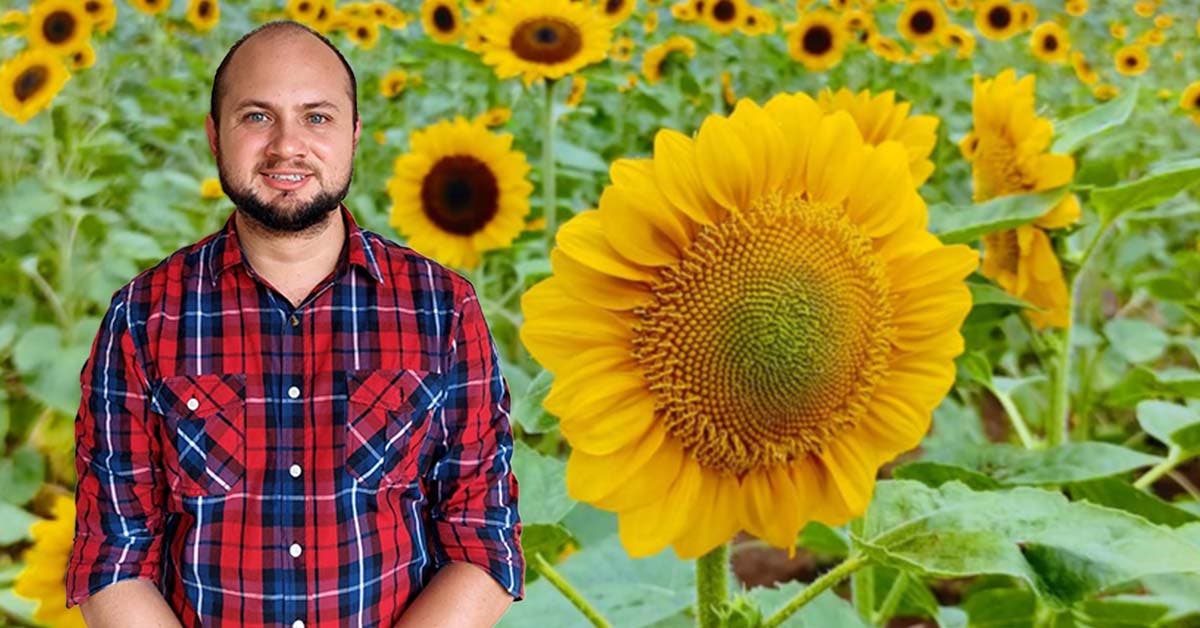 Costa Rica llama la atención del mundo con el campo de girasoles más grande  de Centroamérica”: Erick Porras