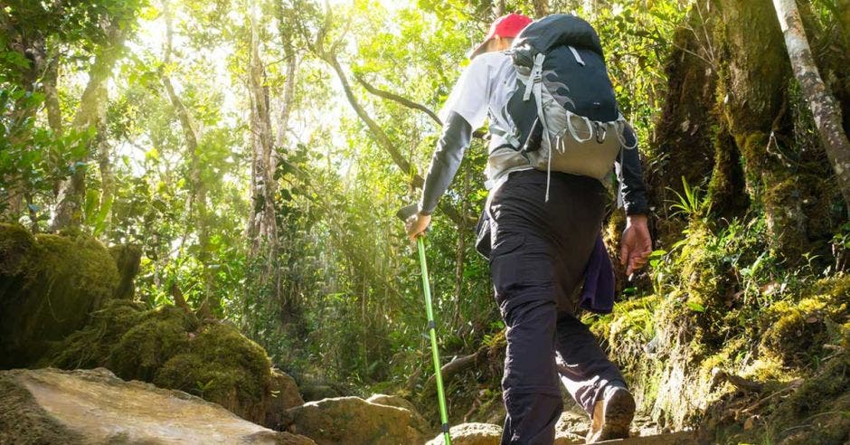 parques nacionales turismo tecnología compras en línea