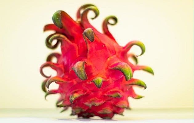 pitahaya