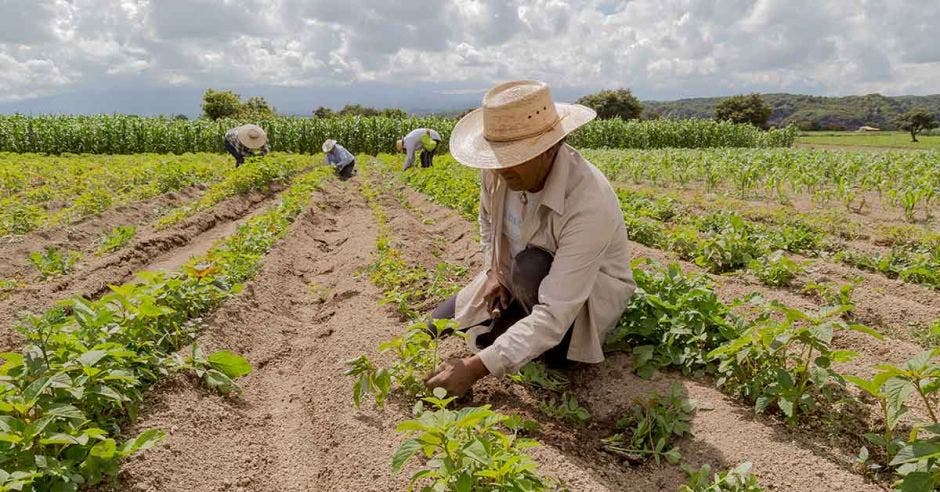 Señores en el campo