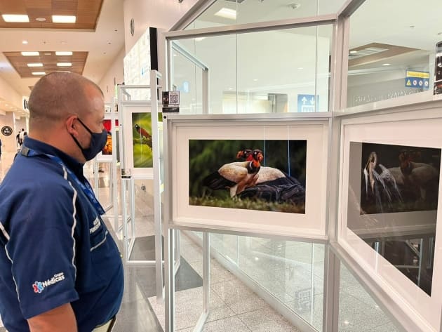 expo aves migratorias