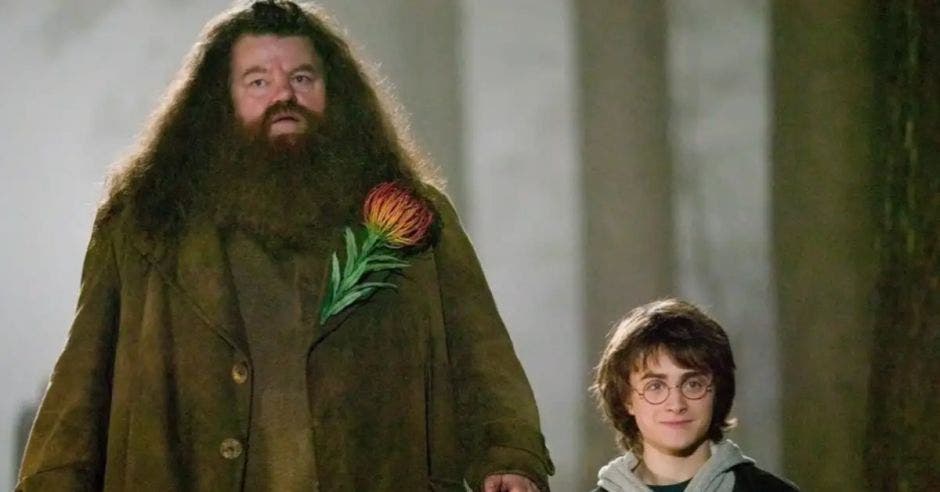 Hagrid