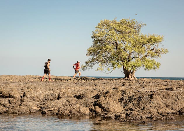 árbol de Dios