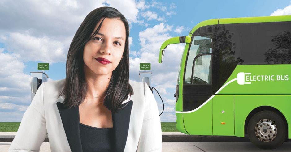 flotillas verdes buses