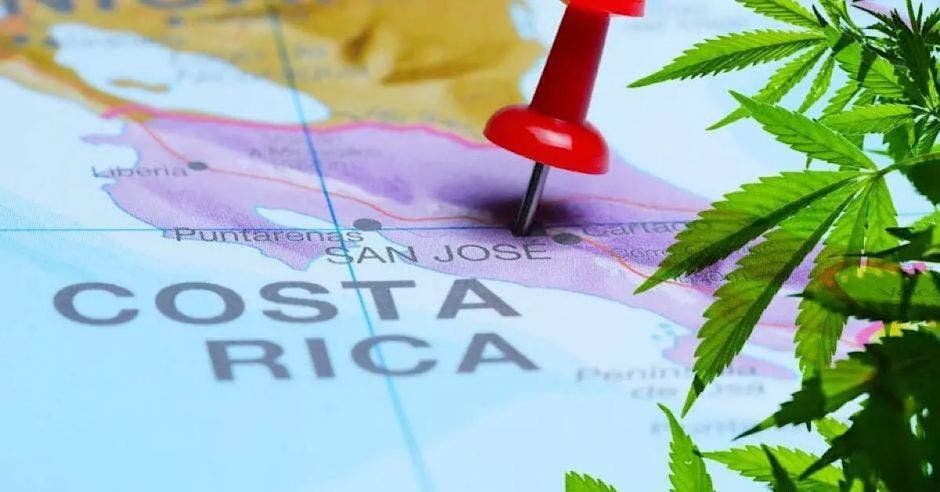 Costa Rica,. Cannabis