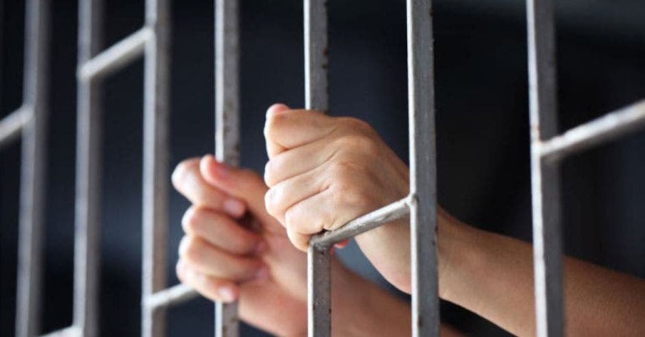 inclusión código penal desaparición forzada delito reforma propuesta monserrat ruiz diputada pln