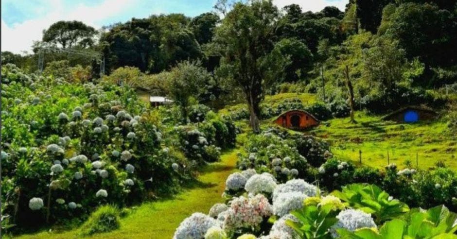 Las instalaciones cuentan con un campo lleno de hortensias.Foto tomada de Cataratas_lagrutabohemia/La República