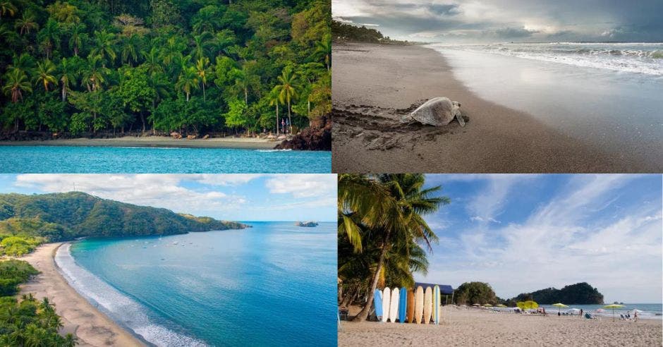 playas Costa Rica surf