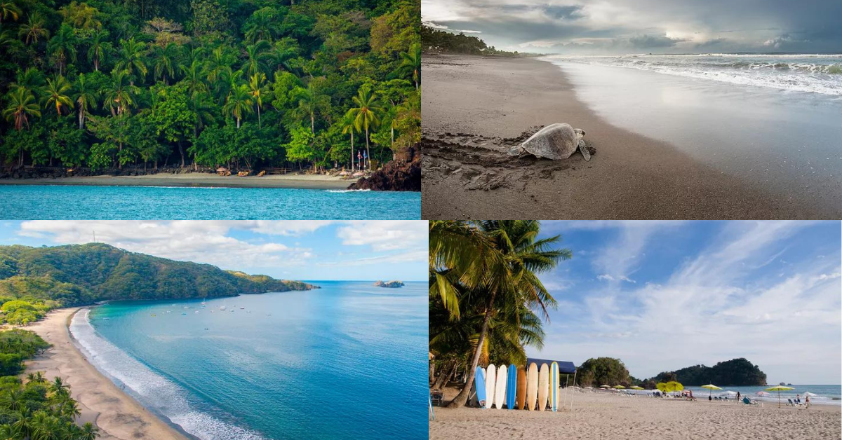 Las 9 Mejores Playas De Costa Rica Para Practicar Surf Snorkel Y 6786