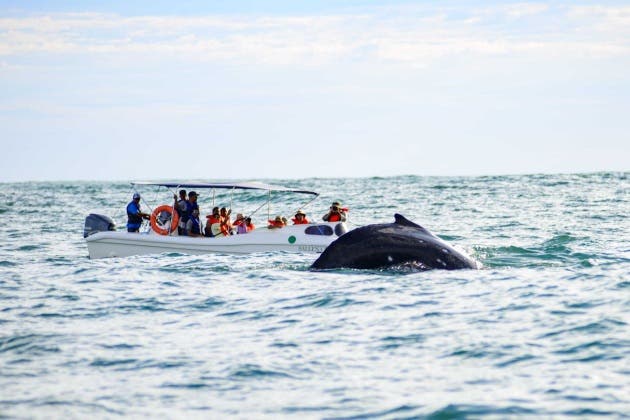 Osa Puntarenas turismo