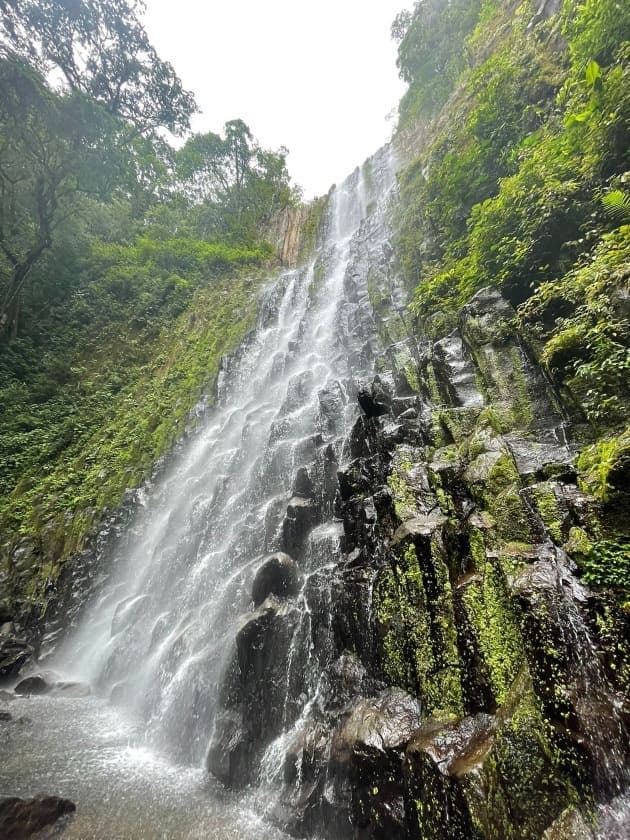 Osa Puntarenas turismo