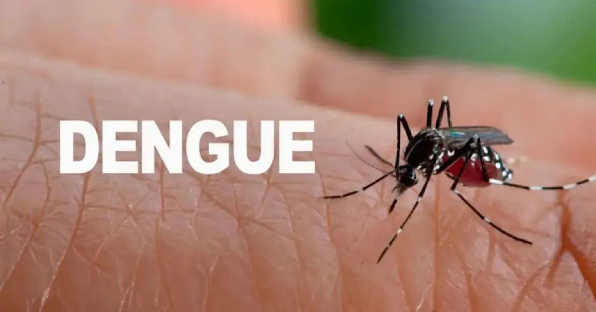 5 Recomendaciones Para No Contagiarse De Dengue: Casi 7 Mil Casos ...