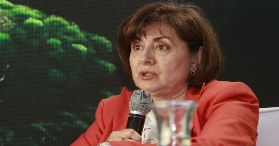 Ingeniera geóloga y geofísica, Mihaela Dobrinescu. Esteban Monge/La República