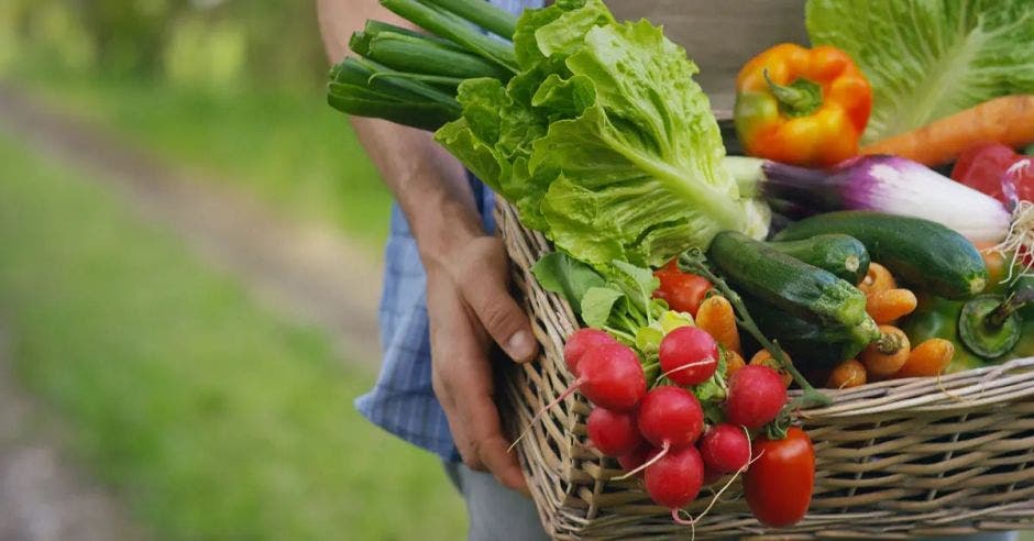 agroquímicos alimentos nutricionistas