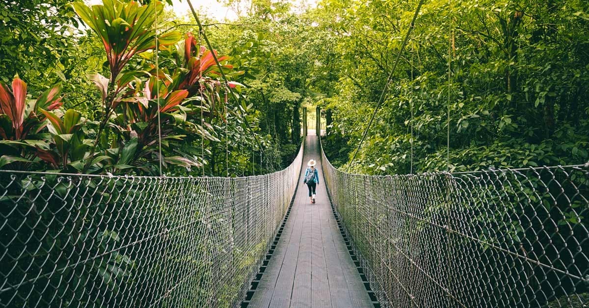 Costa Rica es nombrado como destino turístico del 2024 por Travel and