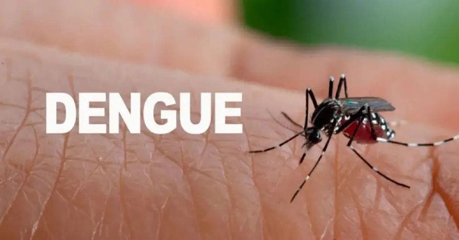 total 2.679 casos dengue reportados último informe epidemiológico continúa ubicando cantón central alajuela mayor incidencia total 308