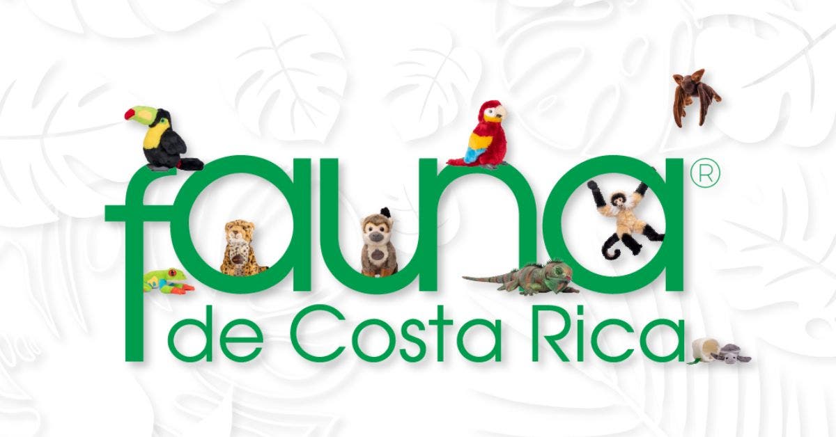 Fauna de Costa Rica: Peluches con un aporte social y educativo