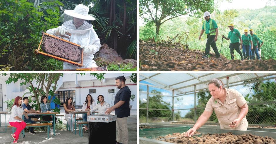 Desde su establecimiento en el 2001, el programa de Donativos Ambientales Ford ha contribuido con más de $2 millones (USD) a cientos de proyectos ambientales en la región, impulsando el desarrollo sostenible y la conservación del medio ambiente. Cortesía/La República