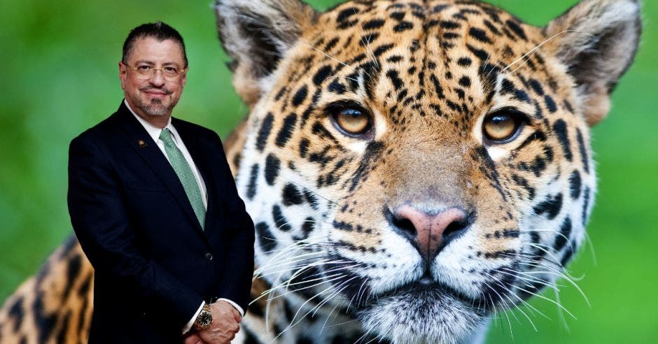 Rodrigo Chaves compara a Costa Rica con un jaguar. Archivo/La República