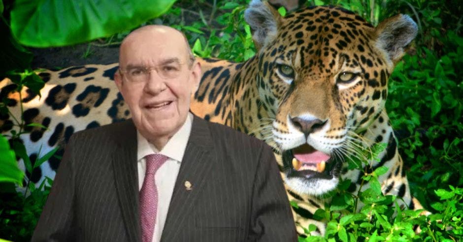 Rodrigo Arias, presidente del Congreso, presentará a los demás diputados la otra semana, su decisión en torno al referéndum jaguar. Cortesía/La República.