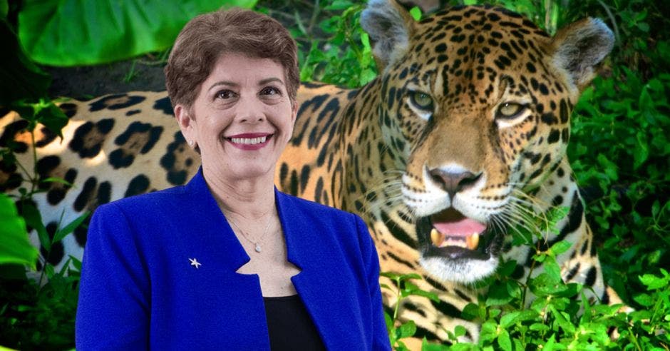Para Marta Acosta, el referéndum jaguar pretende devorar los controles de fiscalización del Estado. Cortesía/La República.