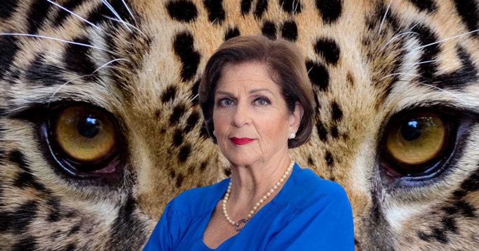 “Hay diputados que dicen que el referéndum jaguar es un gatito, y aún así, le tienen miedo”, según Pilar Cisneros, jefa de Progreso Social.  Cortesía/La República.