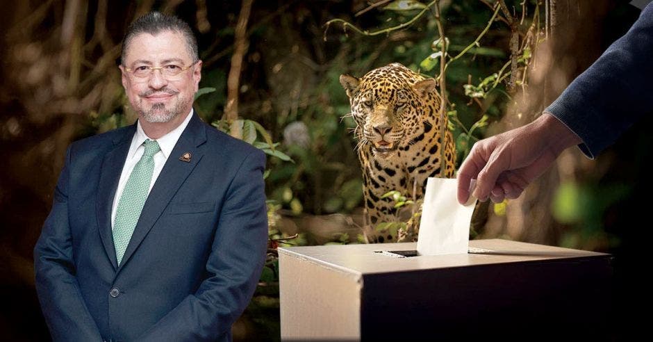 “Nosotros vemos en la Asamblea Legislativa un gran temor de que el pueblo de Costa Rica se manifieste con respecto a la ley jaguar", dijo el presidente Rodrigo Chaves. Cortesía/La República