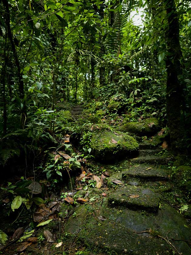 Fotografías cortesía de Senderismo Costa Rica/La República