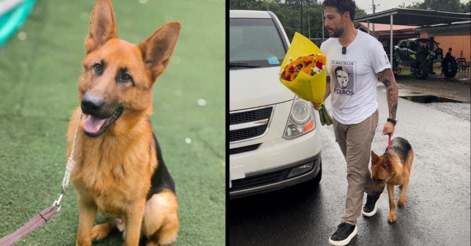 Rubén Rodríguez, funcionario de la Federación Canina de Costa Rica, regaló un hermoso perro a Valentina. El can se llama Rocky. Cortesía/La República.