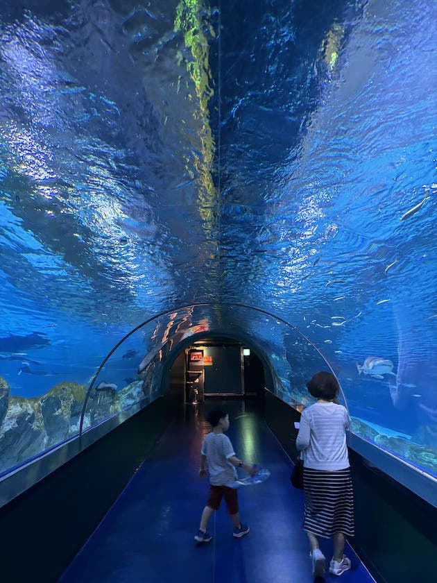 Acuario COEX