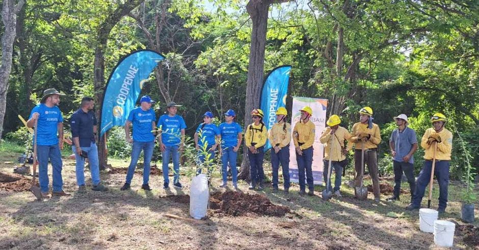 Proyecto Bosques del Bicentenario