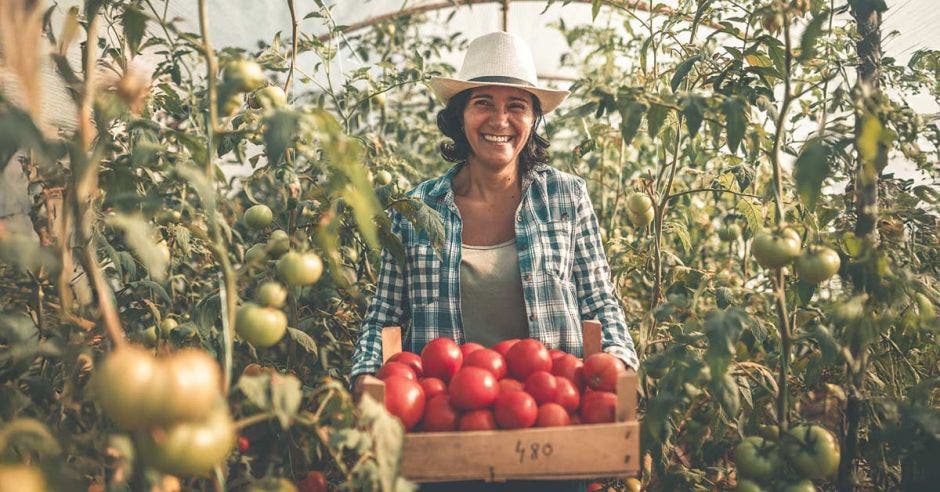 empresas agropecuarias