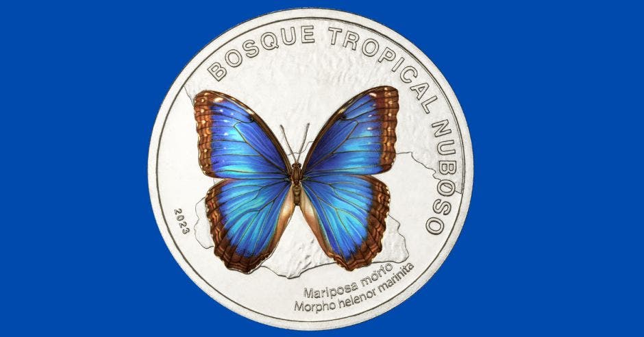 moneda de ₡50 dedicada a la mariposa morfo