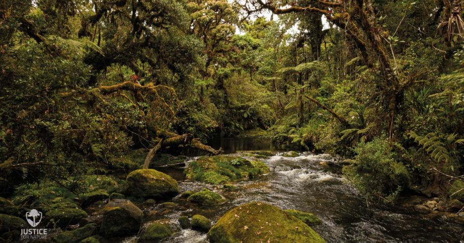 Área de Conservación La Amistad