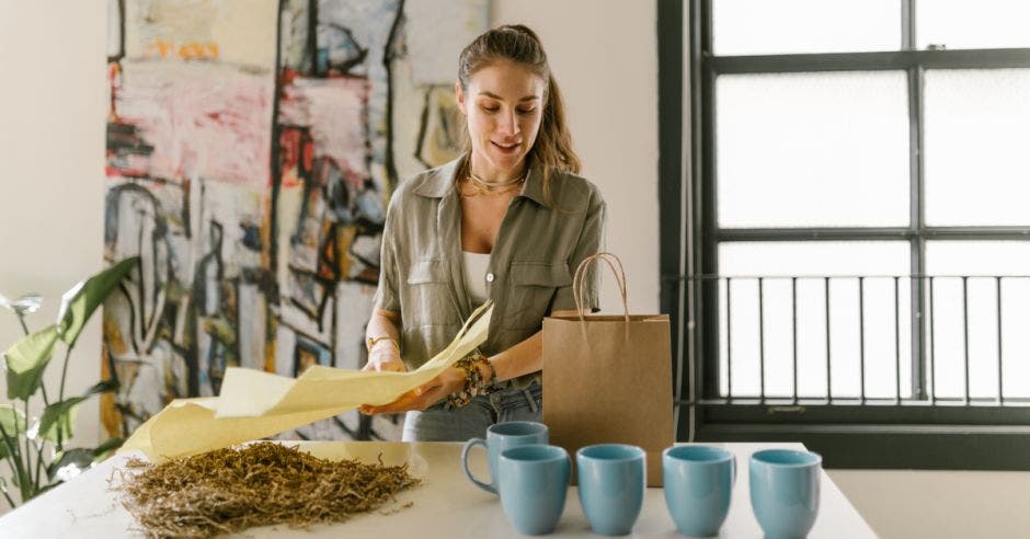 mujeres empresarias, pymes, bonos temáticos BN